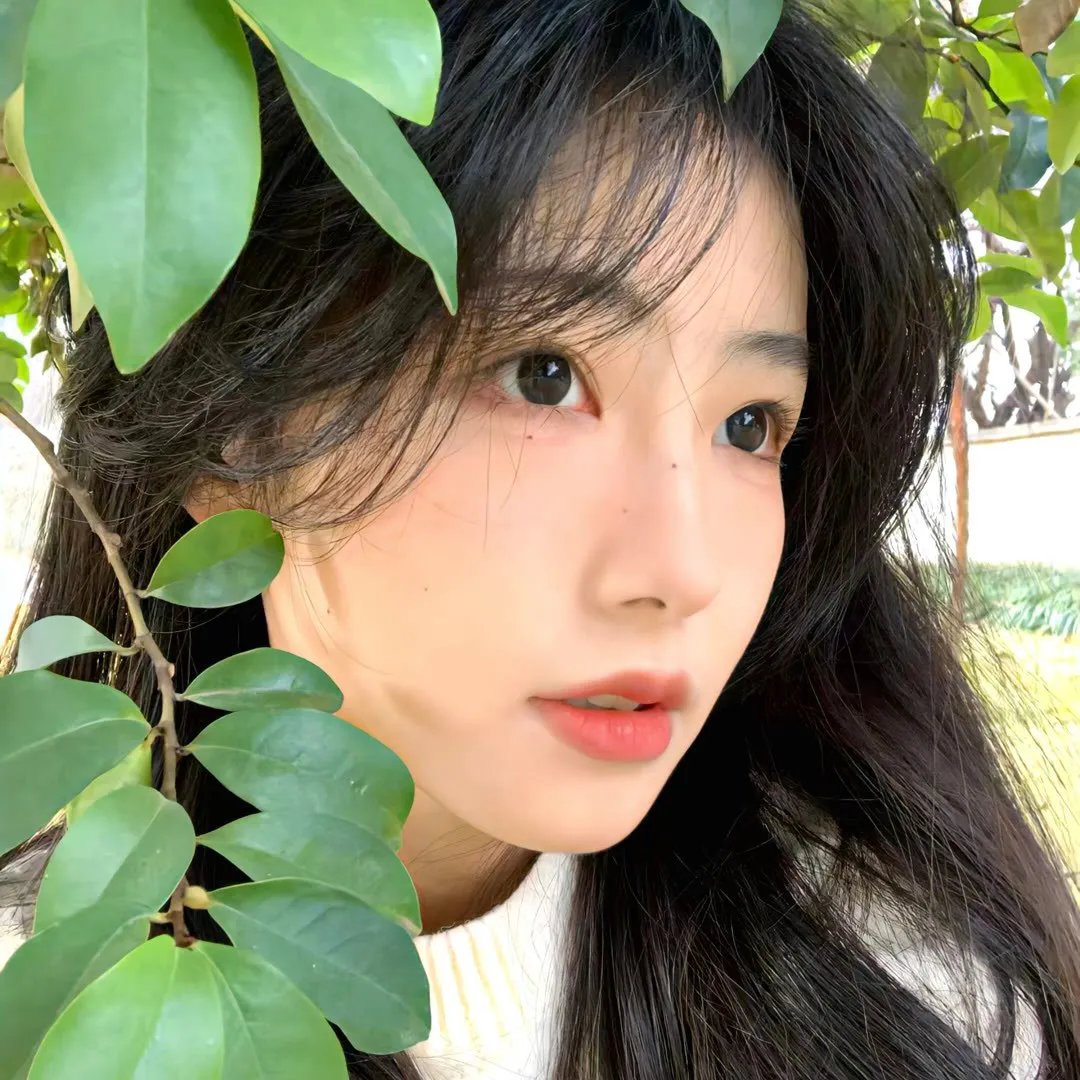 校园娇娃电影版